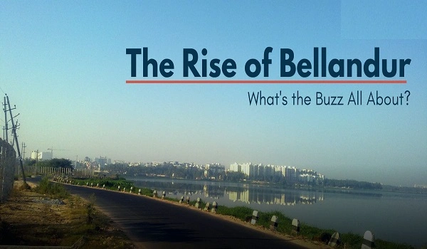 Featured Image of History of Bellandur