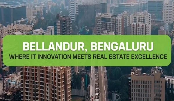 Featured Image of What is Bellandur famous for